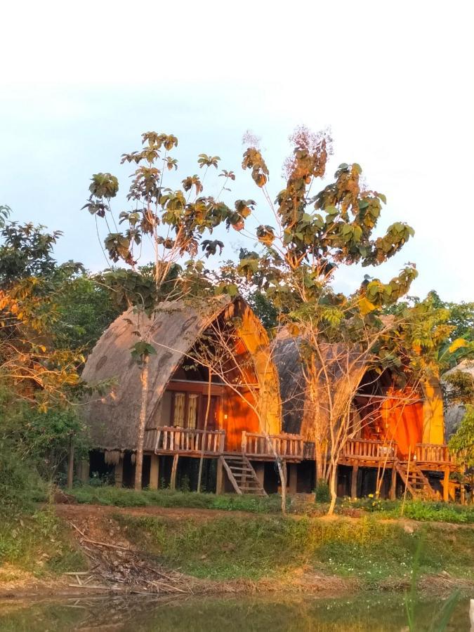 Rice Straw Green Lodge- Resort Quan Tom Exteriör bild